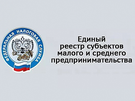 Необходимость предоставления сведений для включения в Единый реестр субъектов малого и среднего предпринимательства